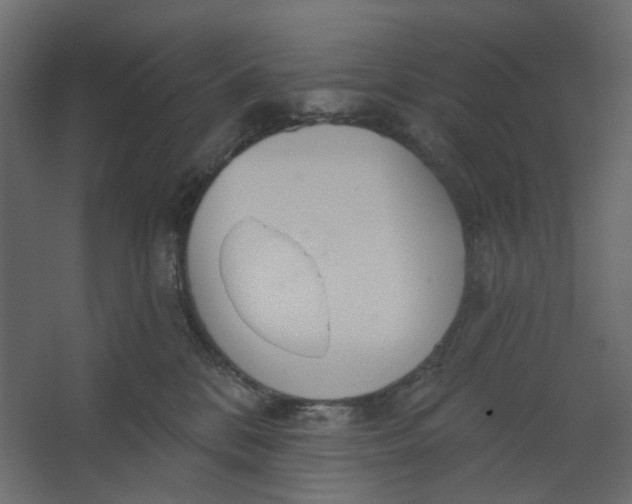 X0000067470328200604211613