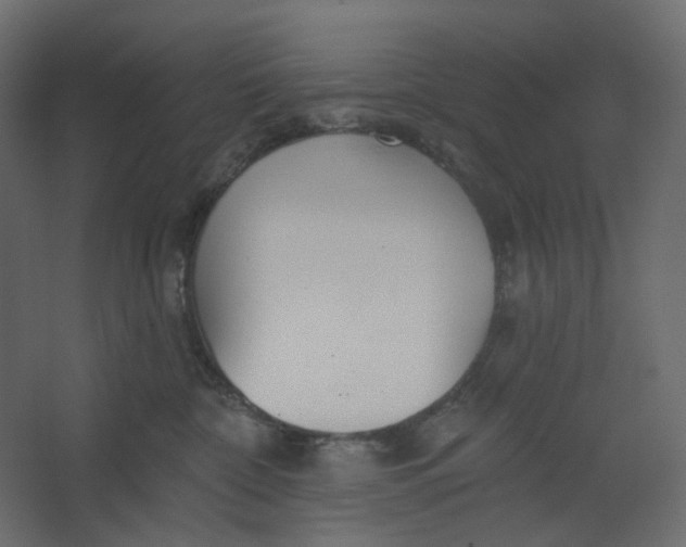 X0000067470332200604211613