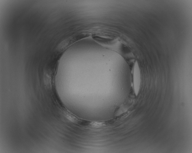 X0000067470333200604211613