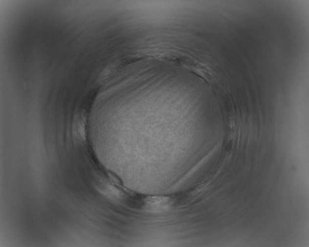 X0000067470334200604211613