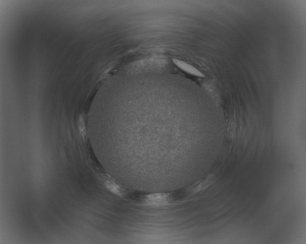 X0000067470335200604211613