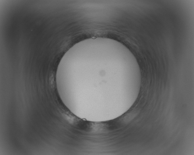 X0000067470336200604211613