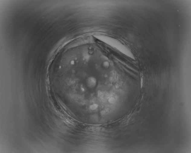 X0000067470339200604211612