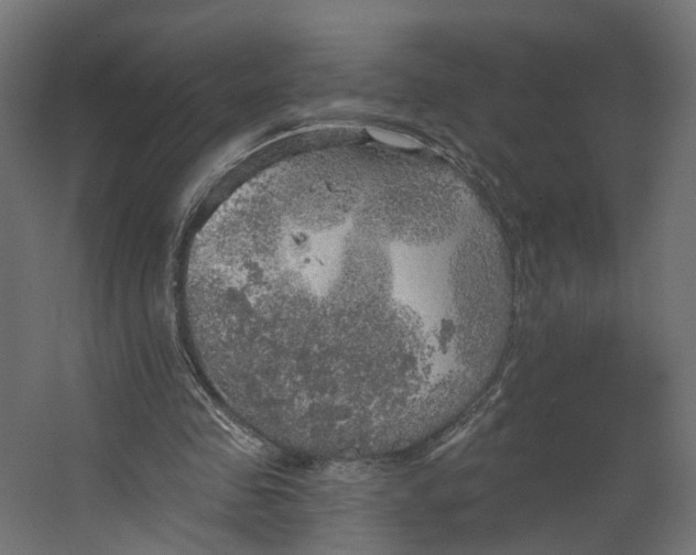 X0000067470341200604211613