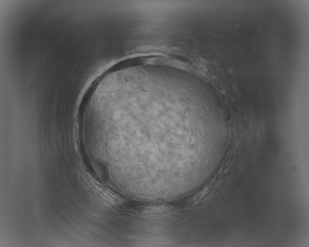 X0000067470342200604211613