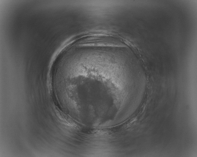 X0000067470343200604211613