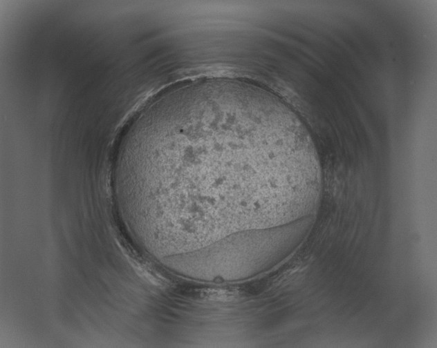 X0000067470347200604211613