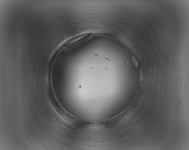 X0000067470348200604211613