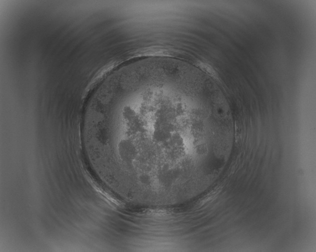 X0000067470349200604211613