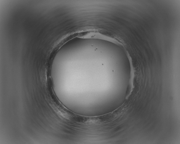 X0000067470350200604211613