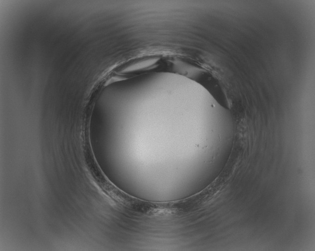 X0000067470352200604211613