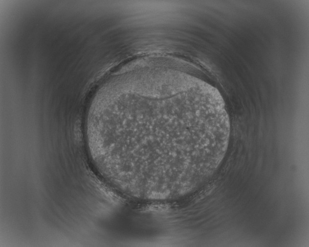 X0000067470353200604211613