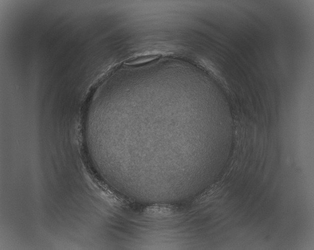 X0000067470354200604211613