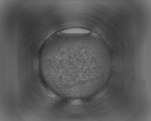 X0000067470355200604211613