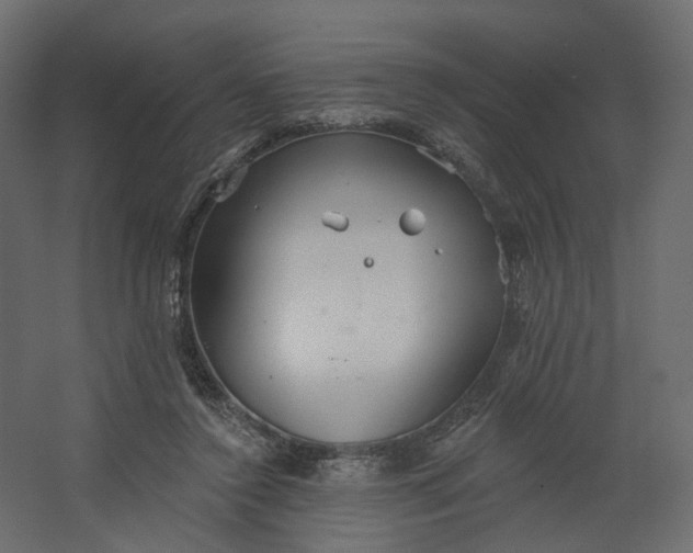 X0000067470356200604211613