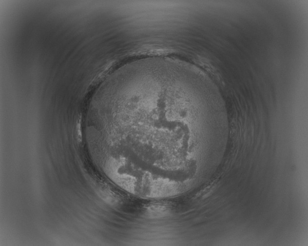 X0000067470358200604211613