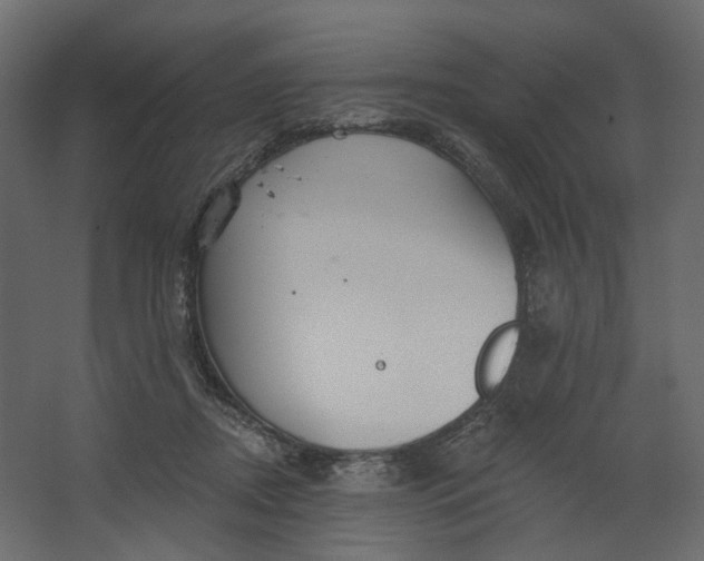 X0000067470362200604211613