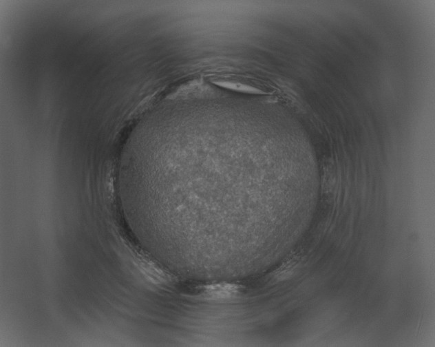 X0000067470363200604211613