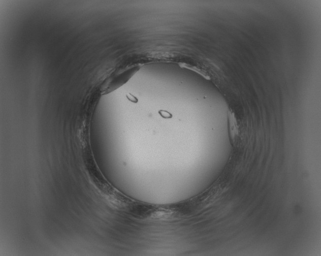 X0000067470364200604211613