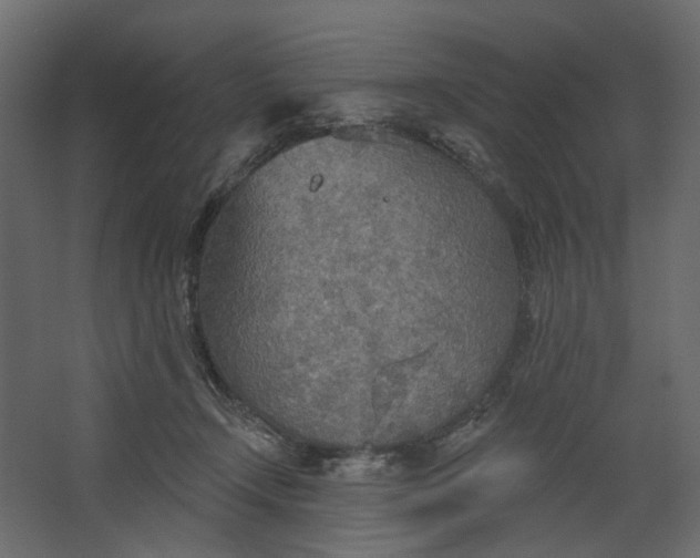 X0000067470366200604211613