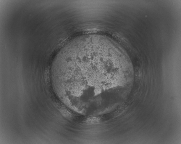 X0000067470369200604211613