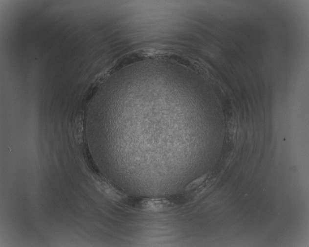 X0000067470372200604211613