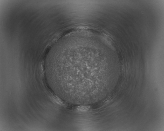 X0000067470373200604211613