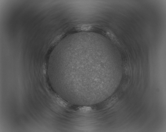 X0000067470374200604211613