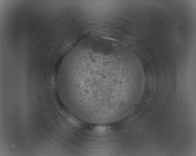 X0000067470375200604211613