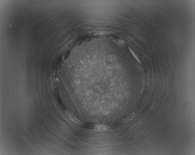 X0000067470376200604211613