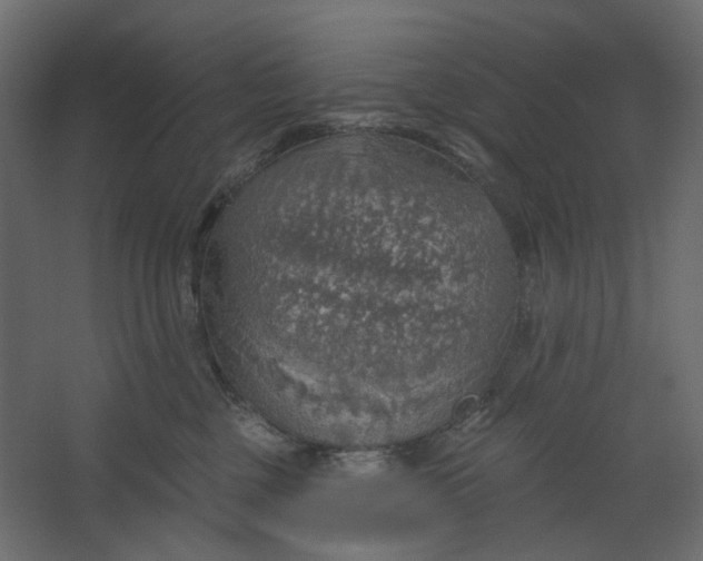 X0000067470377200604211613