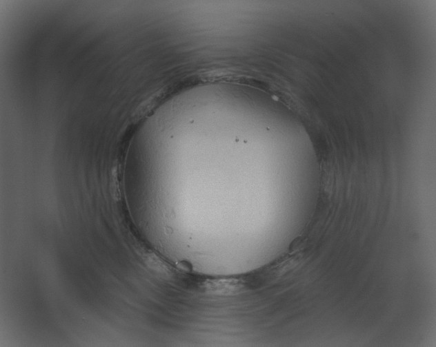 X0000067470378200604211613