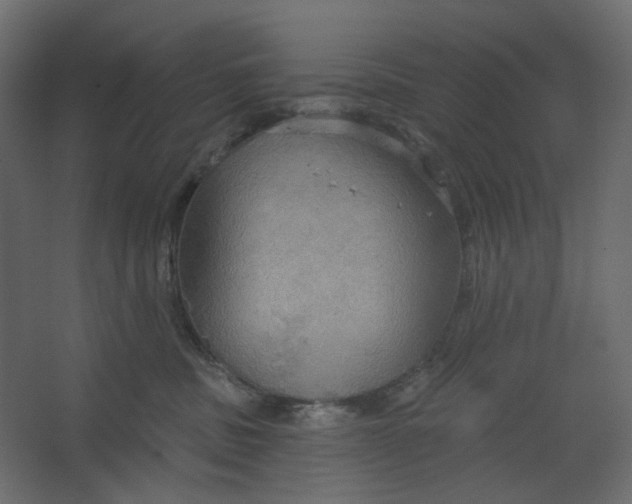 X0000067470379200604211613