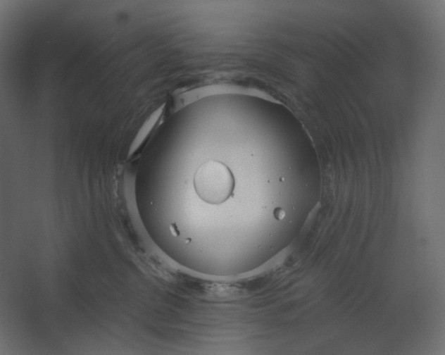 X0000067470380200604211613