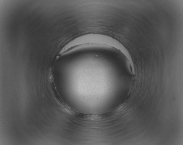 X0000067470383200604211613