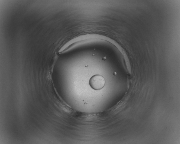 X0000067470384200604211613