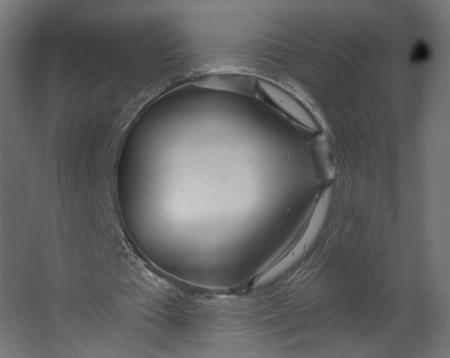 X0000067470385200604211612