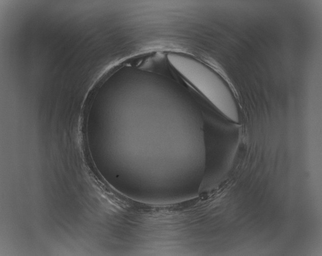 X0000067470387200604211612