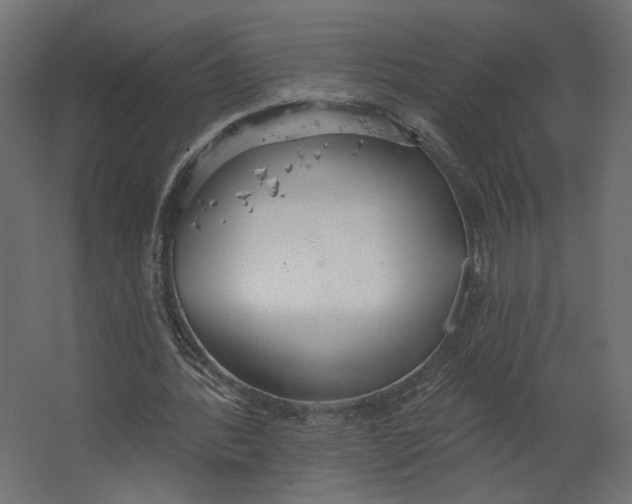 X0000067470388200604211612