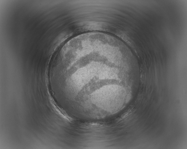 X0000067470390200604211612