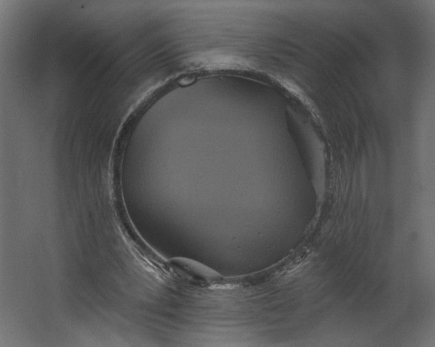 X0000067470391200604211612