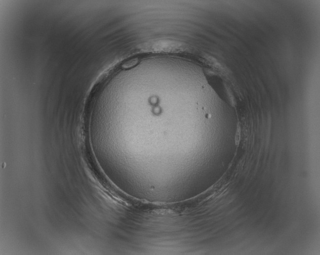 X0000067470392200604211612