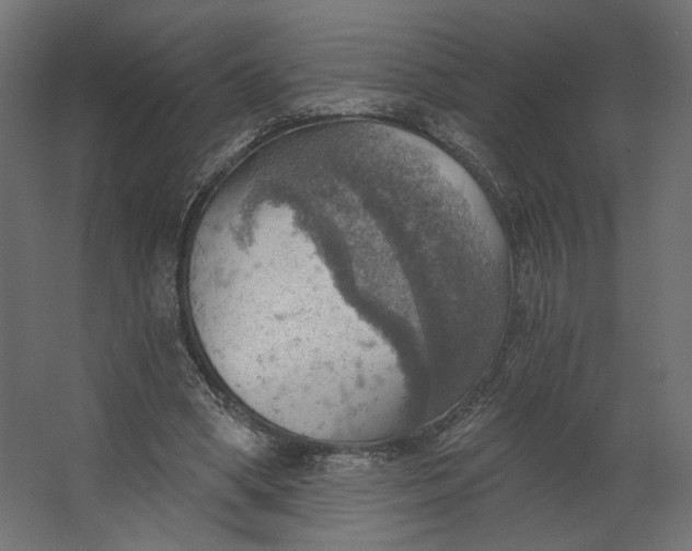 X0000067470394200604211612