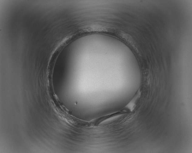 X0000067470395200604211612