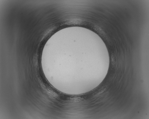 X0000067470396200604211612