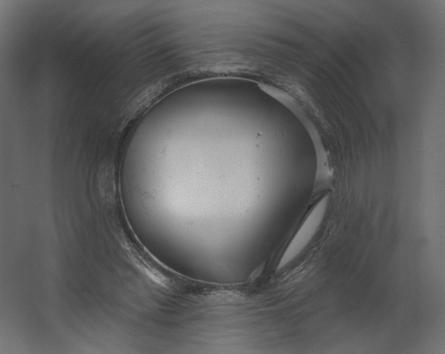 X0000067470397200604211612