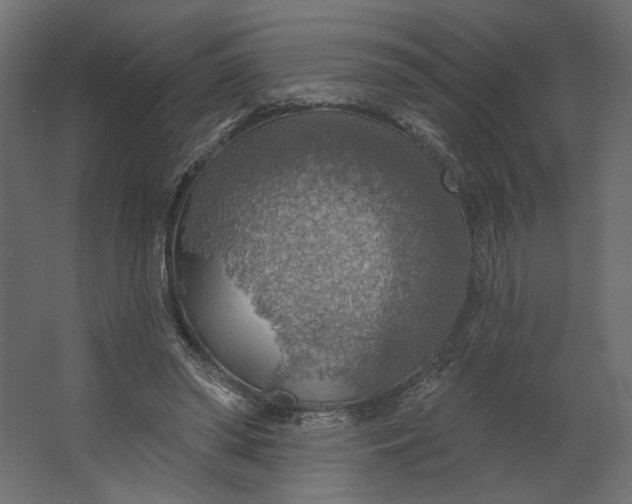 X0000067470398200604211612