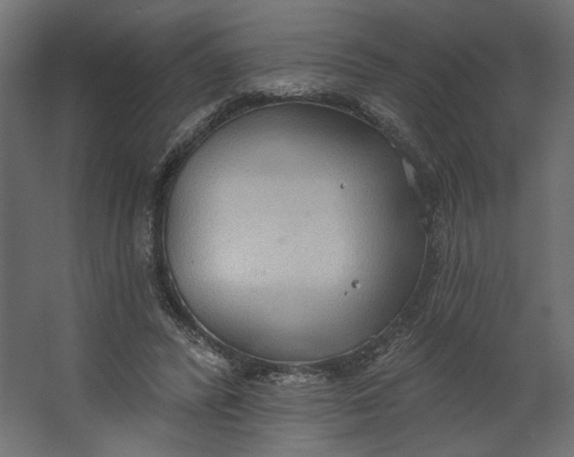 X0000067470400200604211612