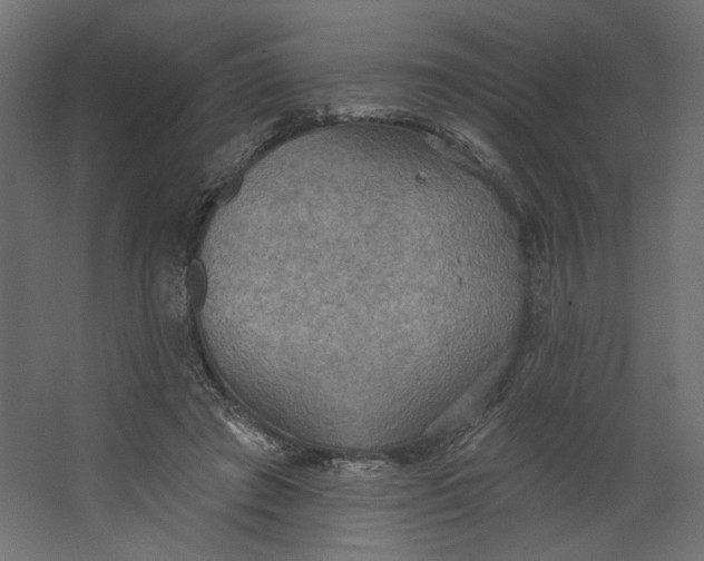 X0000067470401200604211612