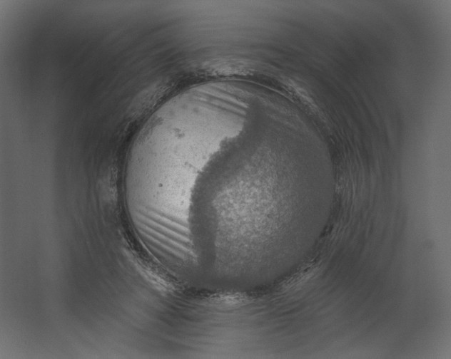 X0000067470402200604211612